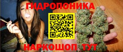 МДПВ Волжск