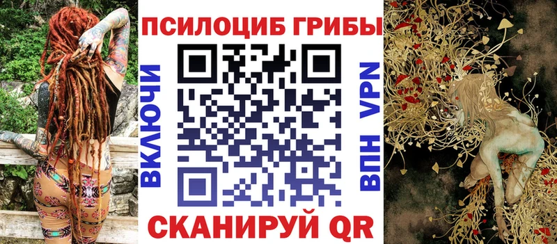 Галлюциногенные грибы MAGIC MUSHROOMS  магазин продажи наркотиков  Сланцы 