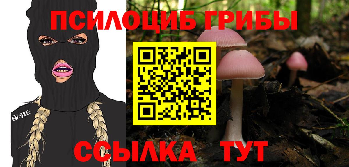 Сланцы  Псилоцибиновые грибы Cubensis  Галлюциногенные грибы MAGIC MUSHROOMS  Вход с VPN 